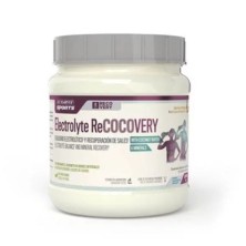 ELECTROLYTE RECOCOVERY BOTE (SPORTS 450 GR
