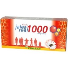 JALEA REAL 1000 mg Vit C, 20 ampoll
