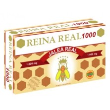 REINA REAL 1000 20UNID   ROBIS