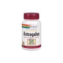 ASTRAGALUS ROOT EXTRACT 200 MG - 30