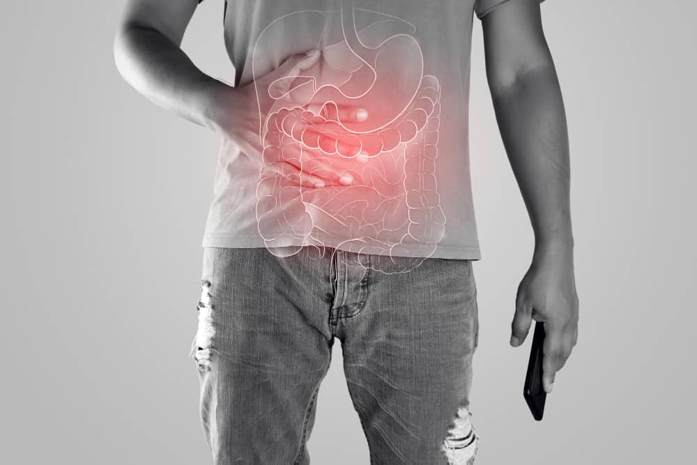 La importancia de la permeabilidad intestinal